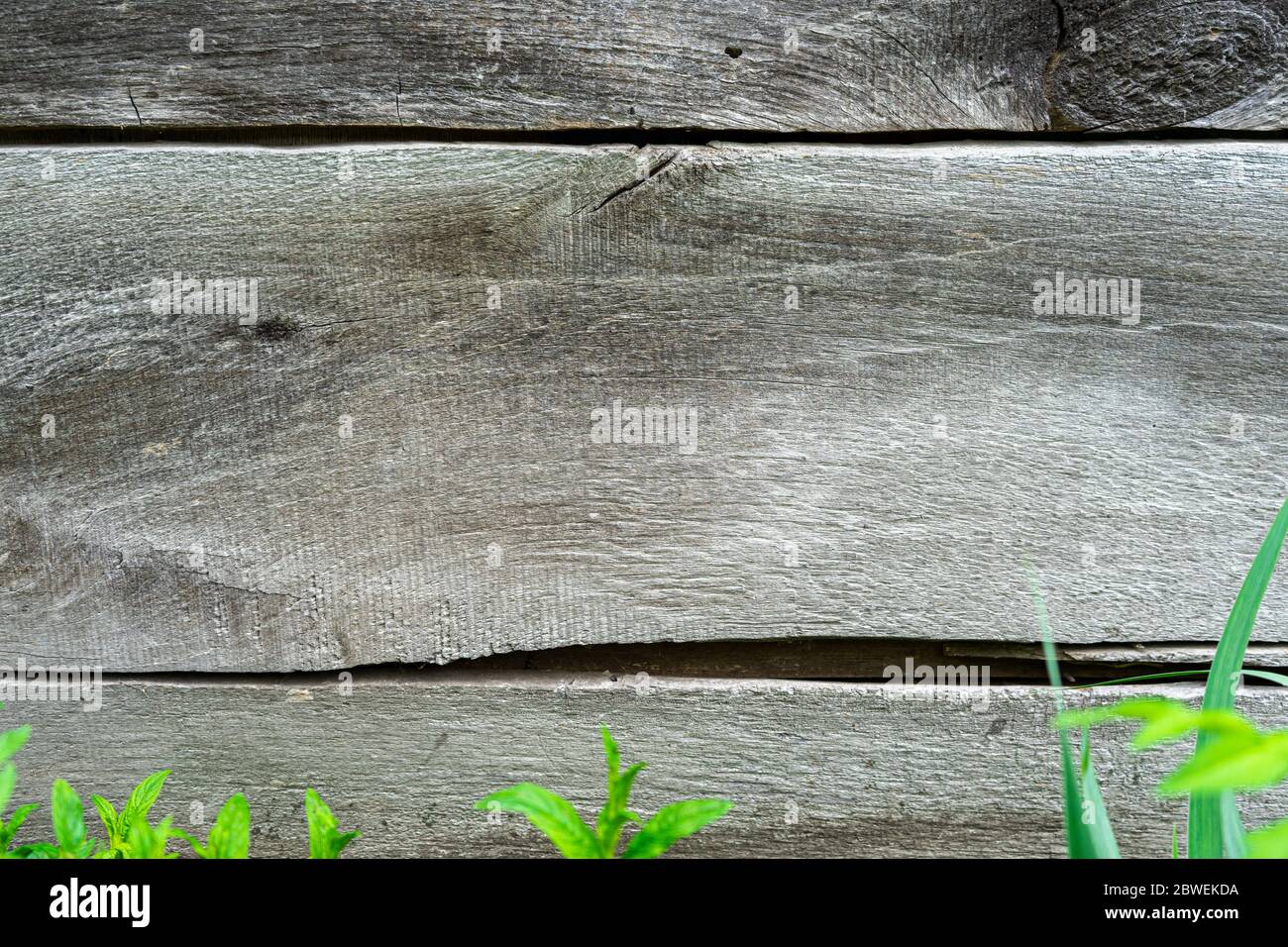 Rustic weathered barn wood background, texture close up Stock Photo