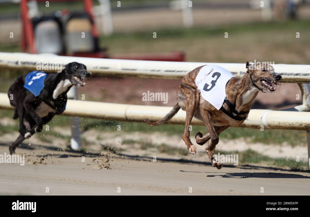 Swift Sport High Resolution Stock Photography And Images Alamy