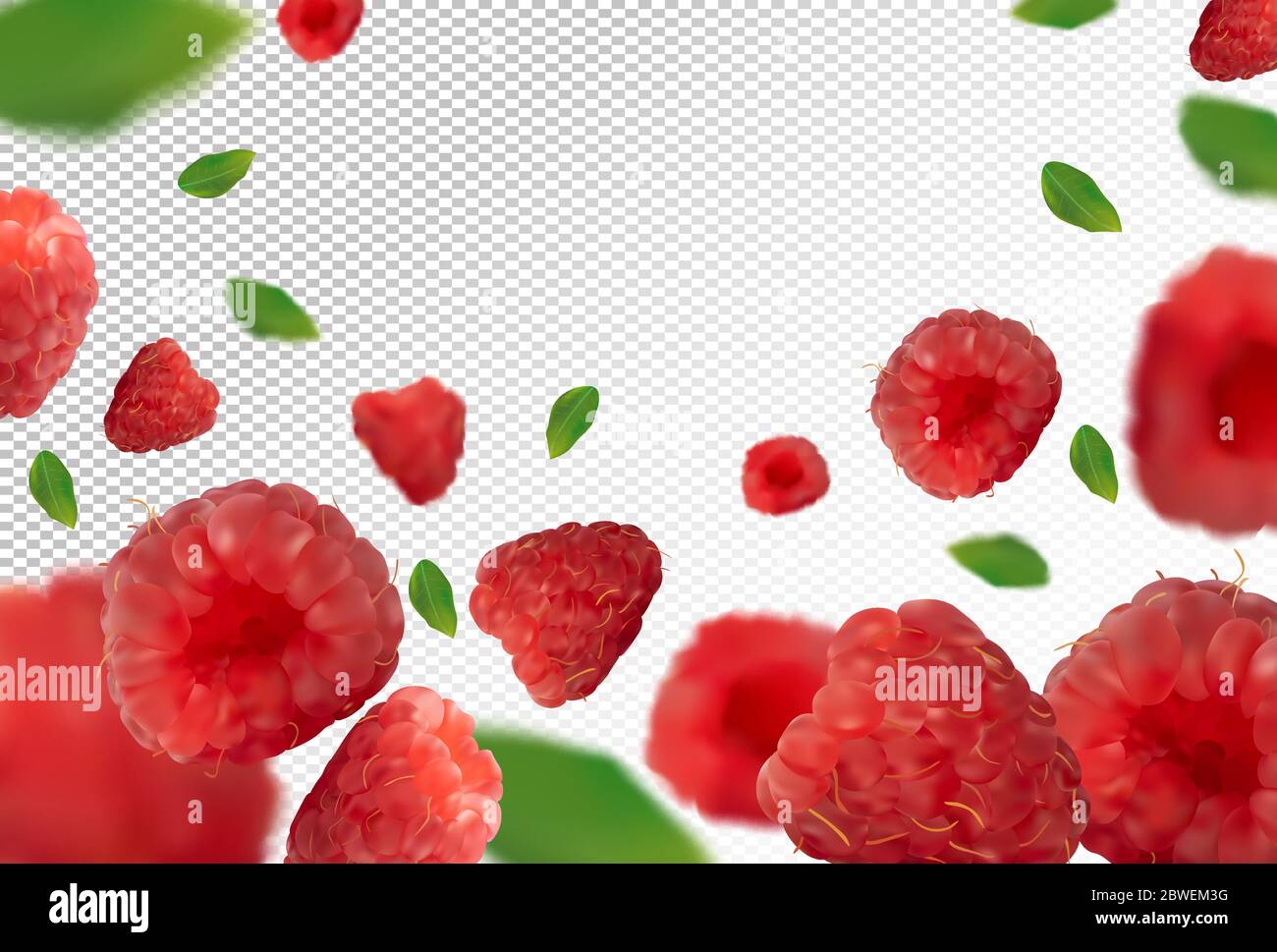 Raspberry background. Fresh raspberry with green leaf on transparent