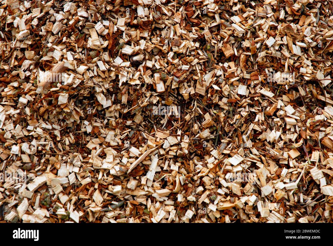Abstract of pile of bark chipings in garden, Devon, England Stock Photo