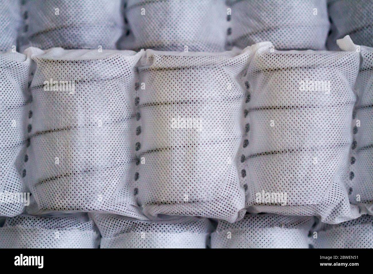 Independent mattress springs in spunbond. Pocket springs. Stock Photo