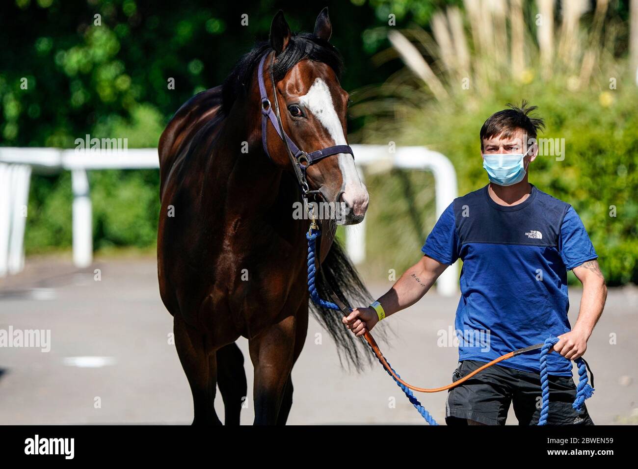Racehorse Stables High Resolution Stock Photography And Images Alamy