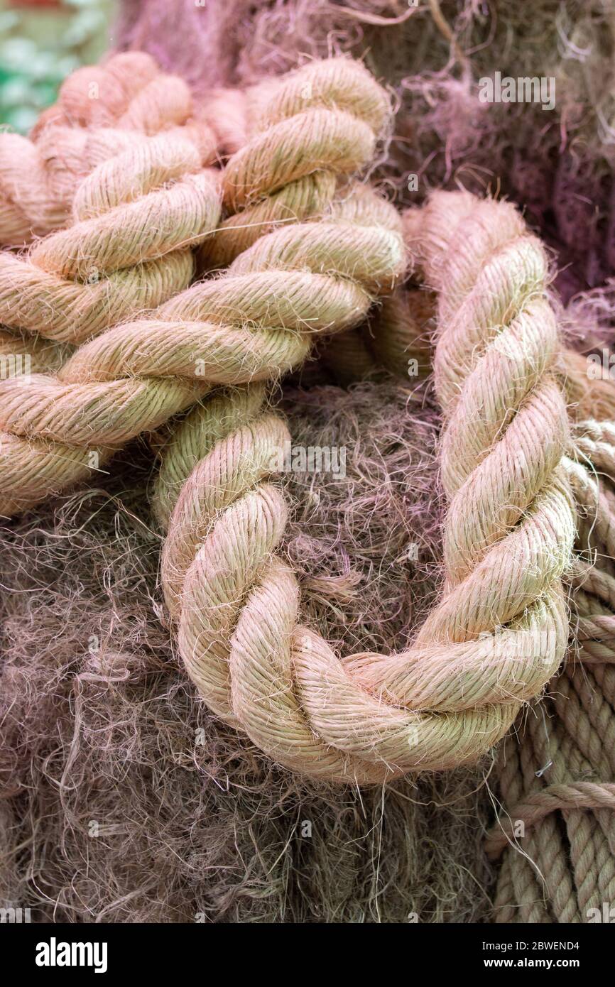 Thick Rope Fastened In The Knot Stock Photo, Picture and Royalty