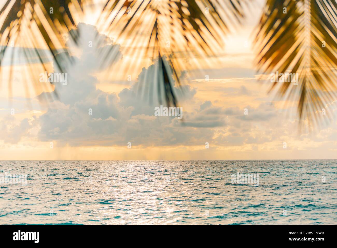 Blur beautiful nature green palm leaf on tropical sunset beach sea with bokeh light wave abstract background. Copy space summer vacation and holiday Stock Photo
