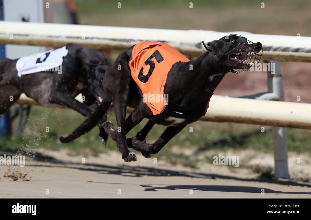 Perry Barr Greyhound Stadium High Resolution Stock Photography And Images Alamy