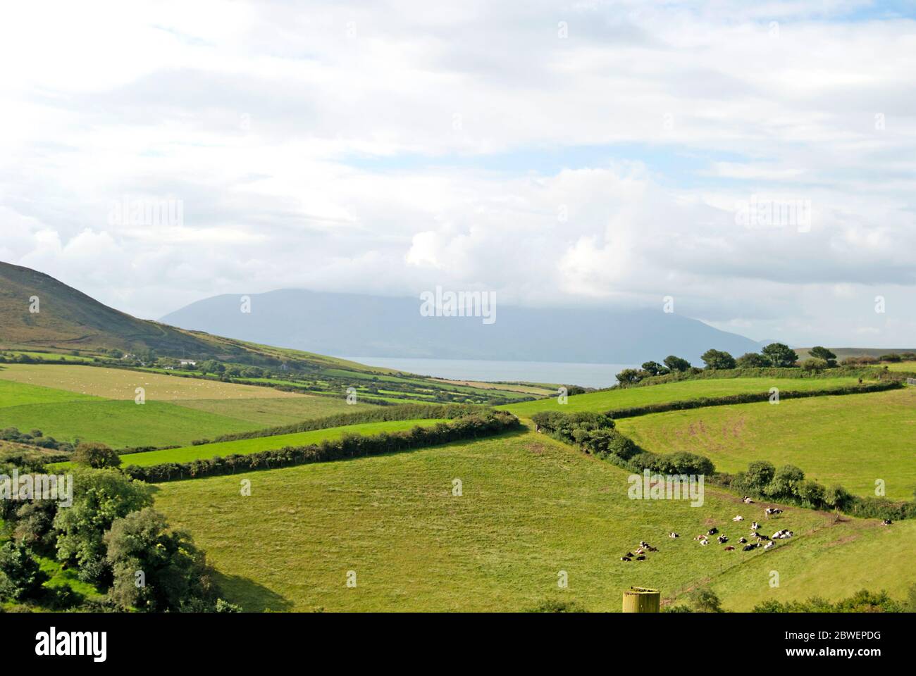 Green landscape with lots of fields, Ireland Stock Photo
