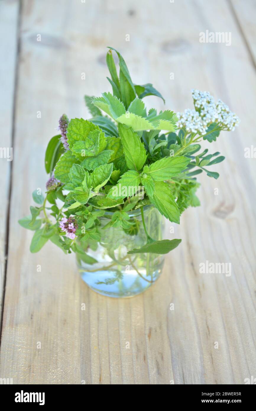 Fresh green herbs in the glass on wooden table Stock Photo