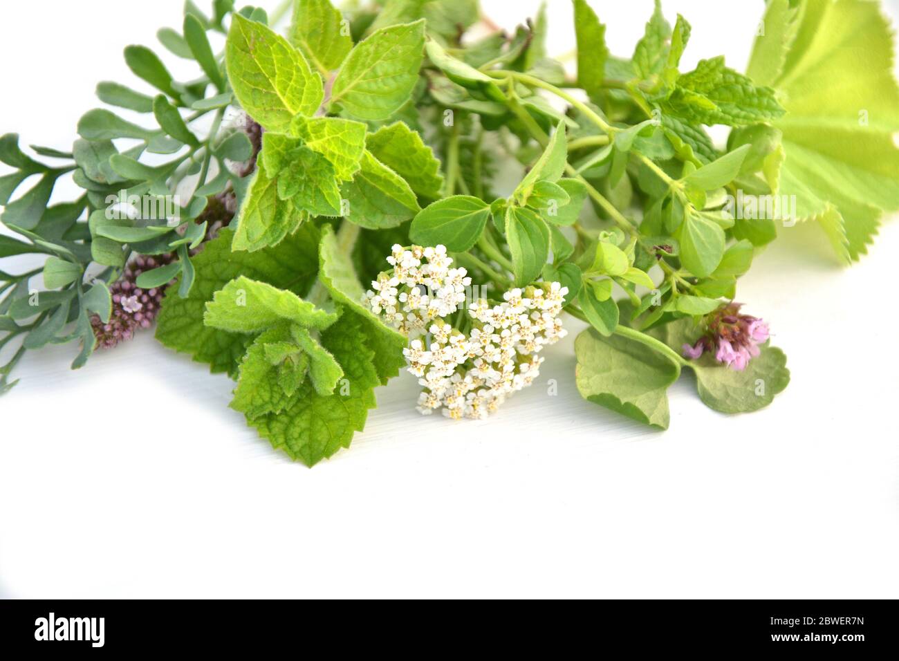 Fresh green herbs bunch isolated on white background Stock Photo Alamy