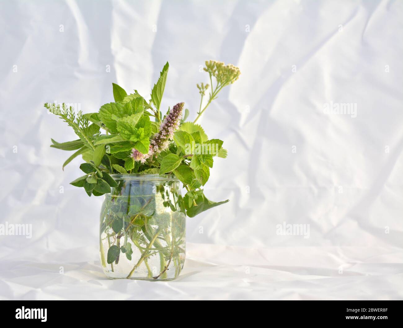 Fresh green herbs in the glass Stock Photo
