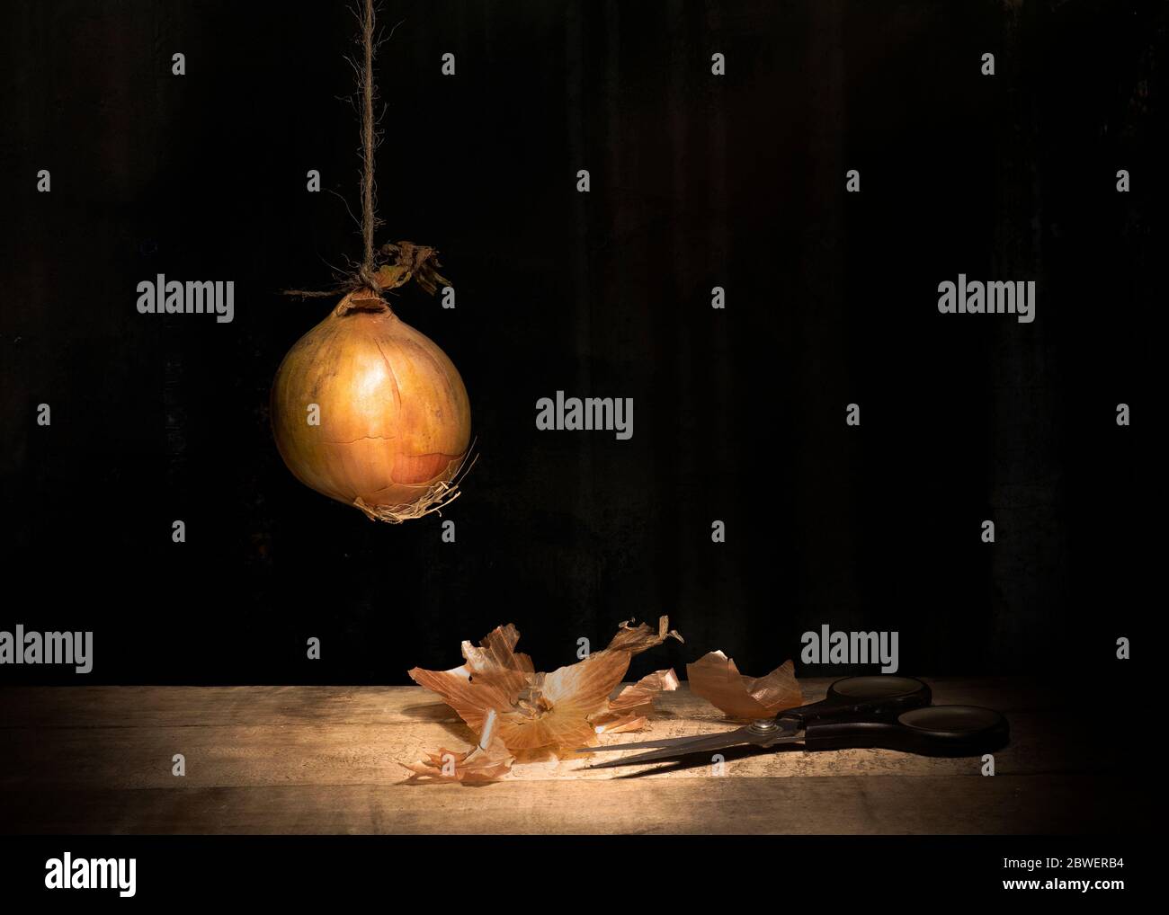 Onion. Hanging by a thread. Still life concept, metaphor. With scissors. Fate, destiny, risk. With copyspace. Stock Photo