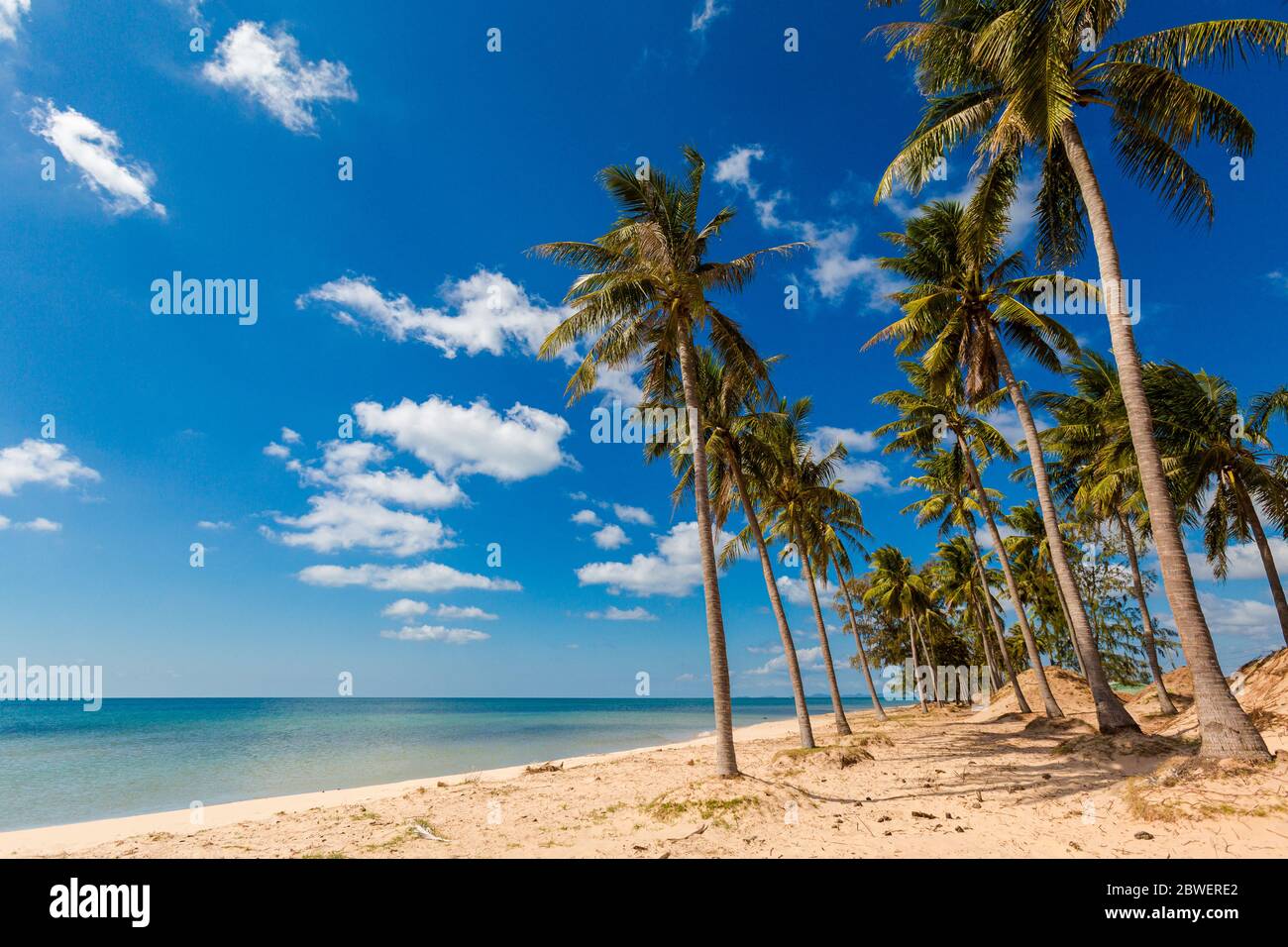 Local landscape in beautiful fishermans village Tran Hung Dao, tropical Phu Quoc island (An Thoi district) in Vietnam. Landscape taken during sunny da Stock Photo