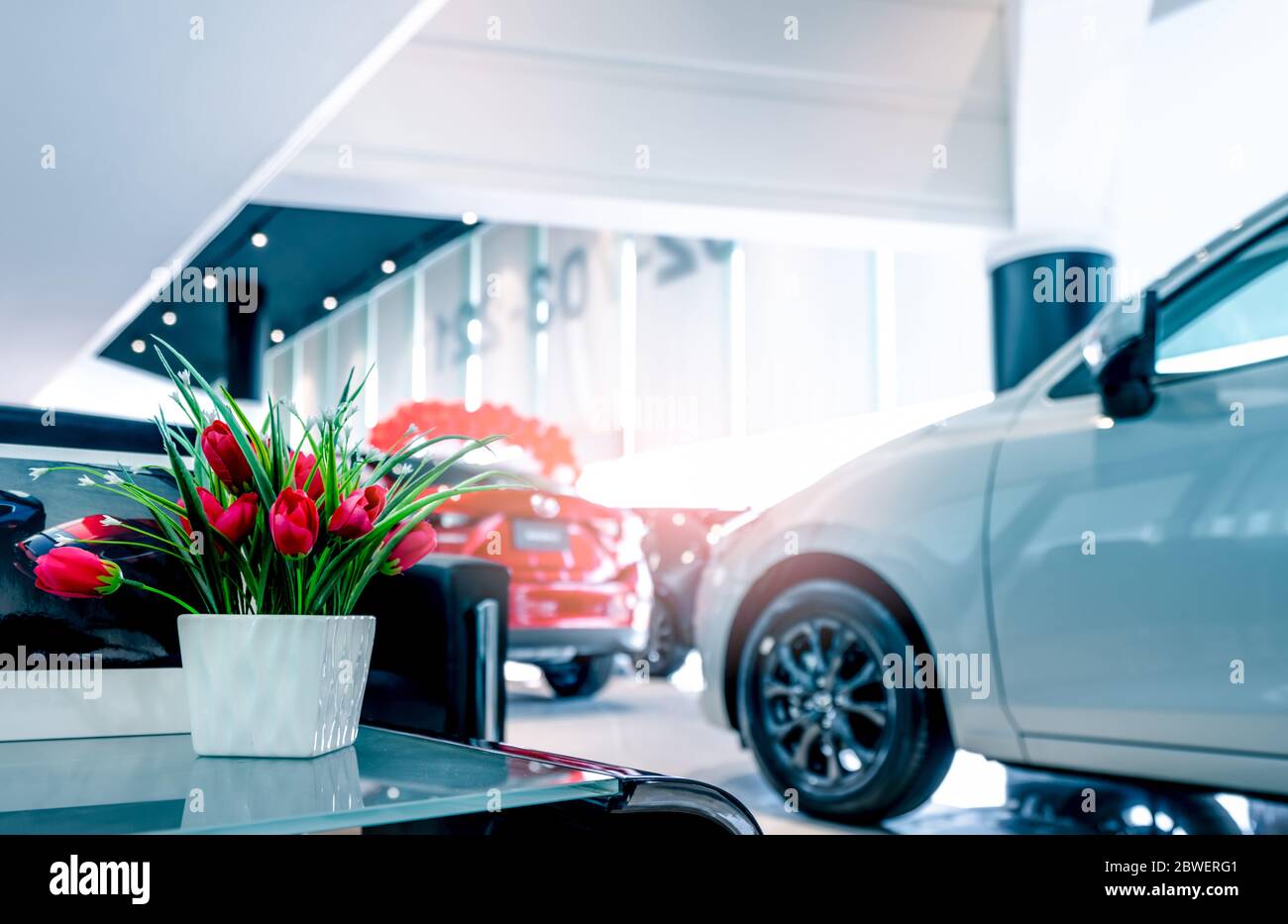 Fake red flowers in ceramic white vase on glass table in car showroom