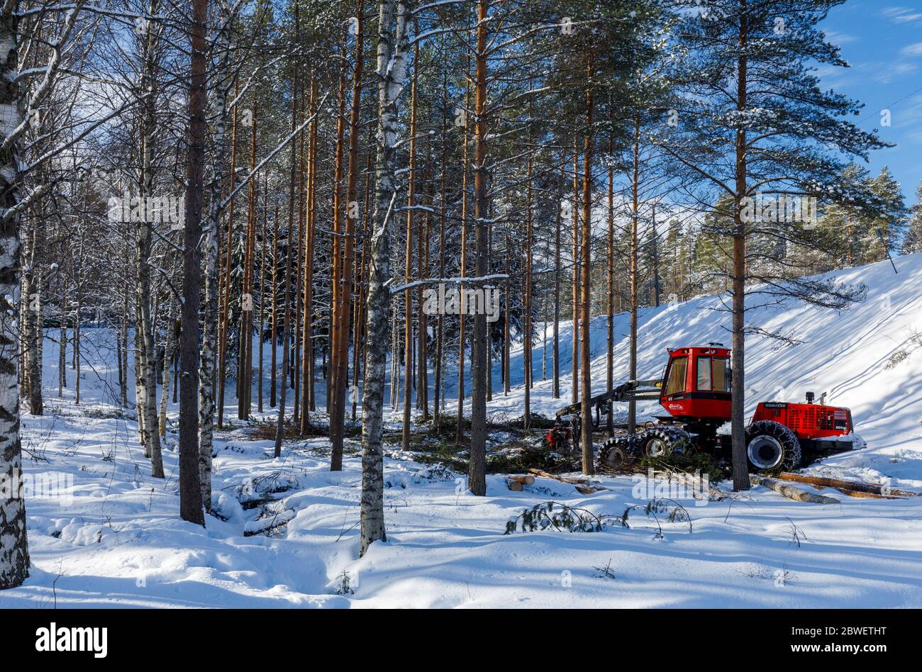 Red Komatsu 901 TX forest harvester thinning young snowy forest at Winter , Finland Stock Photo