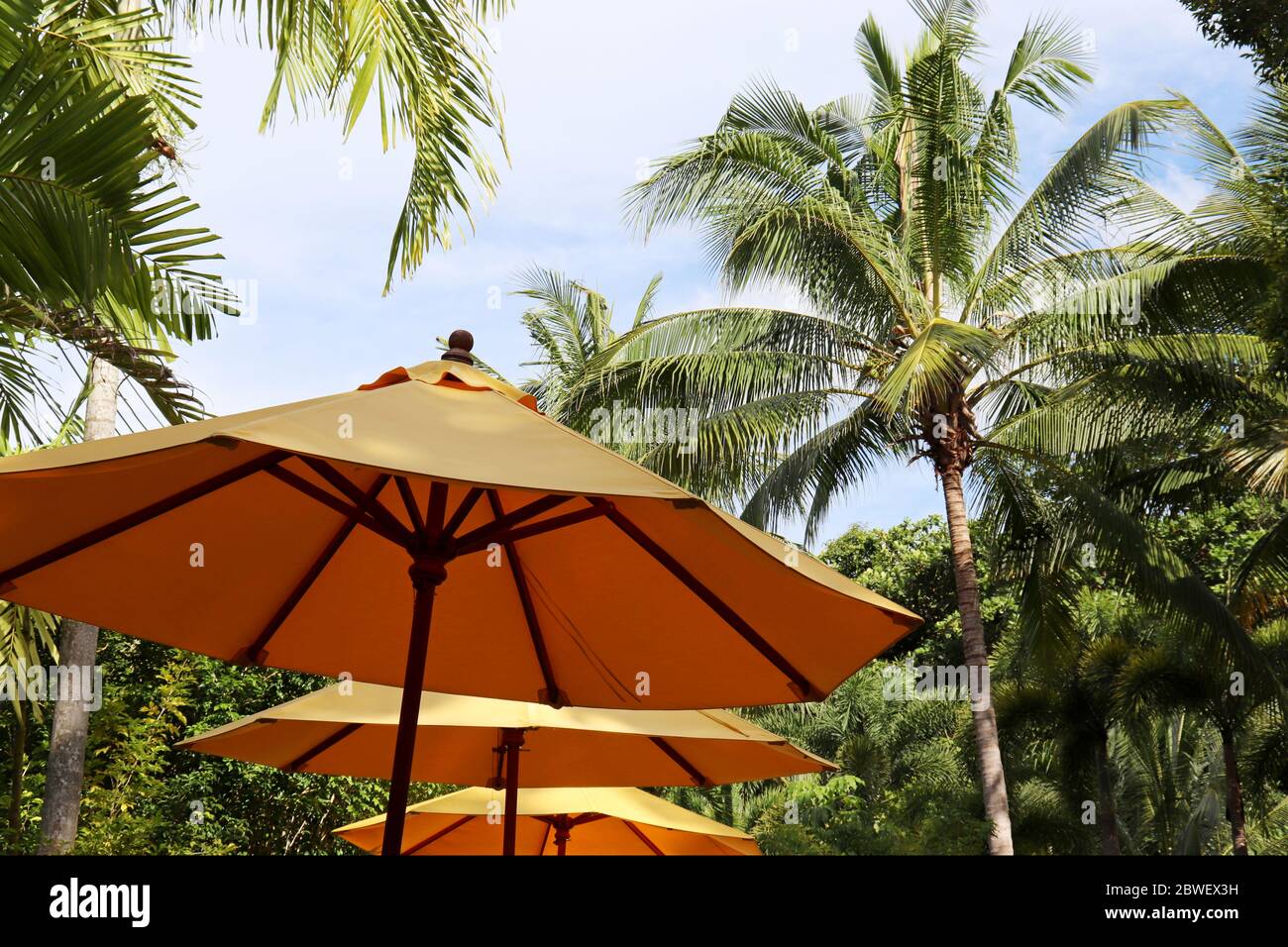 Tropical vacation, sun umbrella and coconut palm trees on sky background. Summer holidays on paradise nature, beach resort Stock Photo