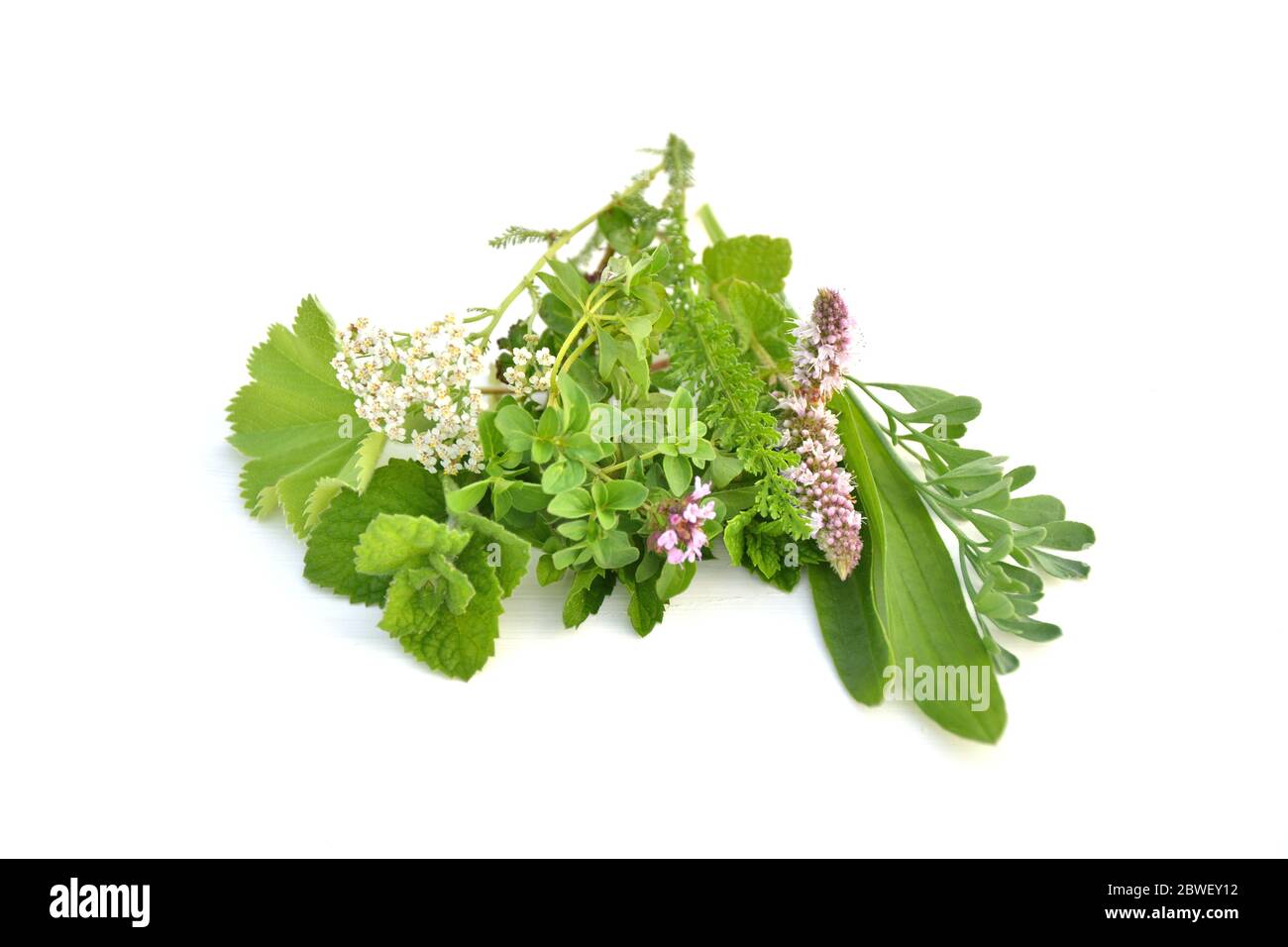 Fresh green herbs bouquet on white background Stock Photo