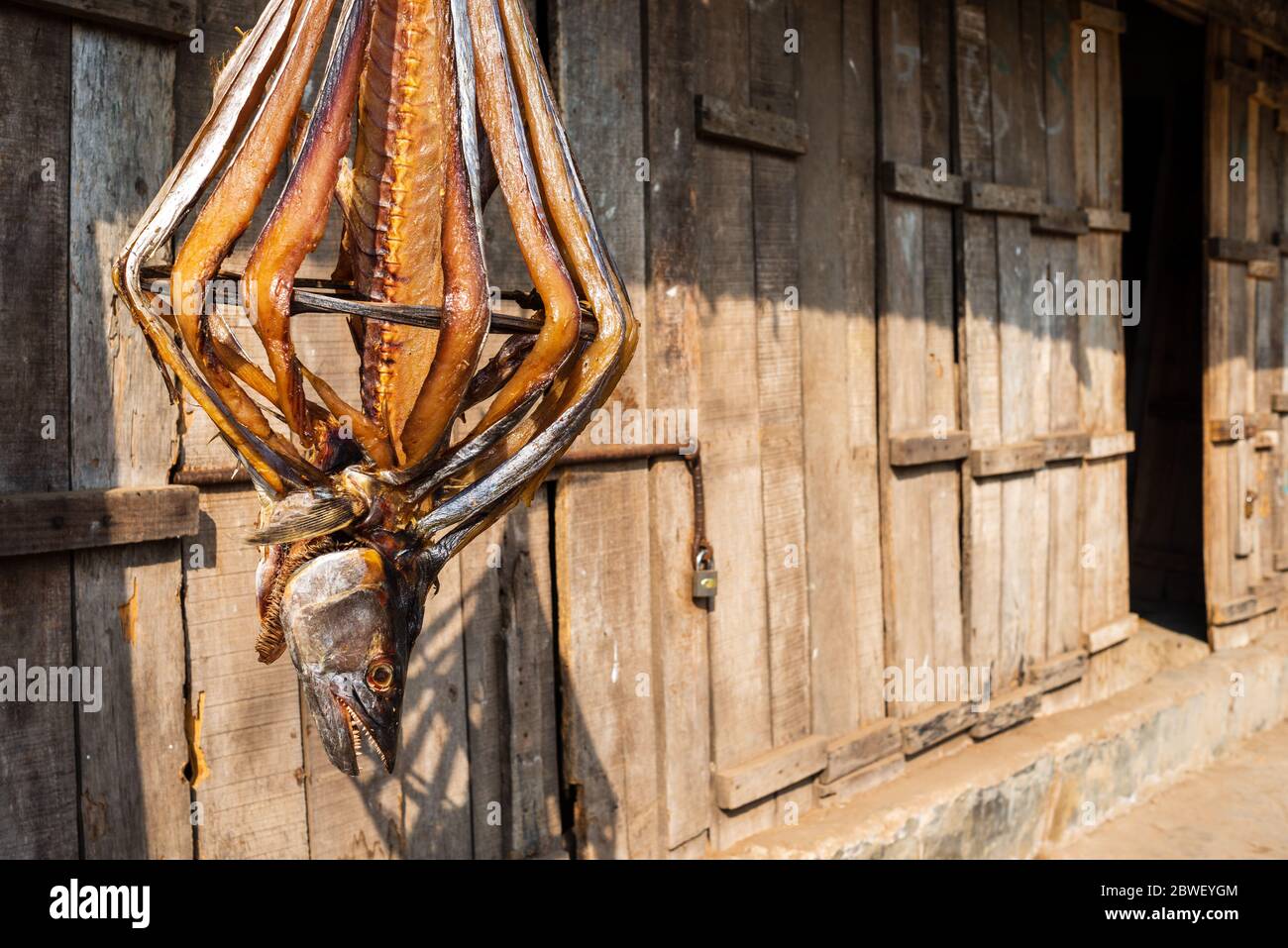 Bangladesh, Drying Fish by Vertically Hanging in Bambo Stick Structures in Cox's Bazar Stock Photo