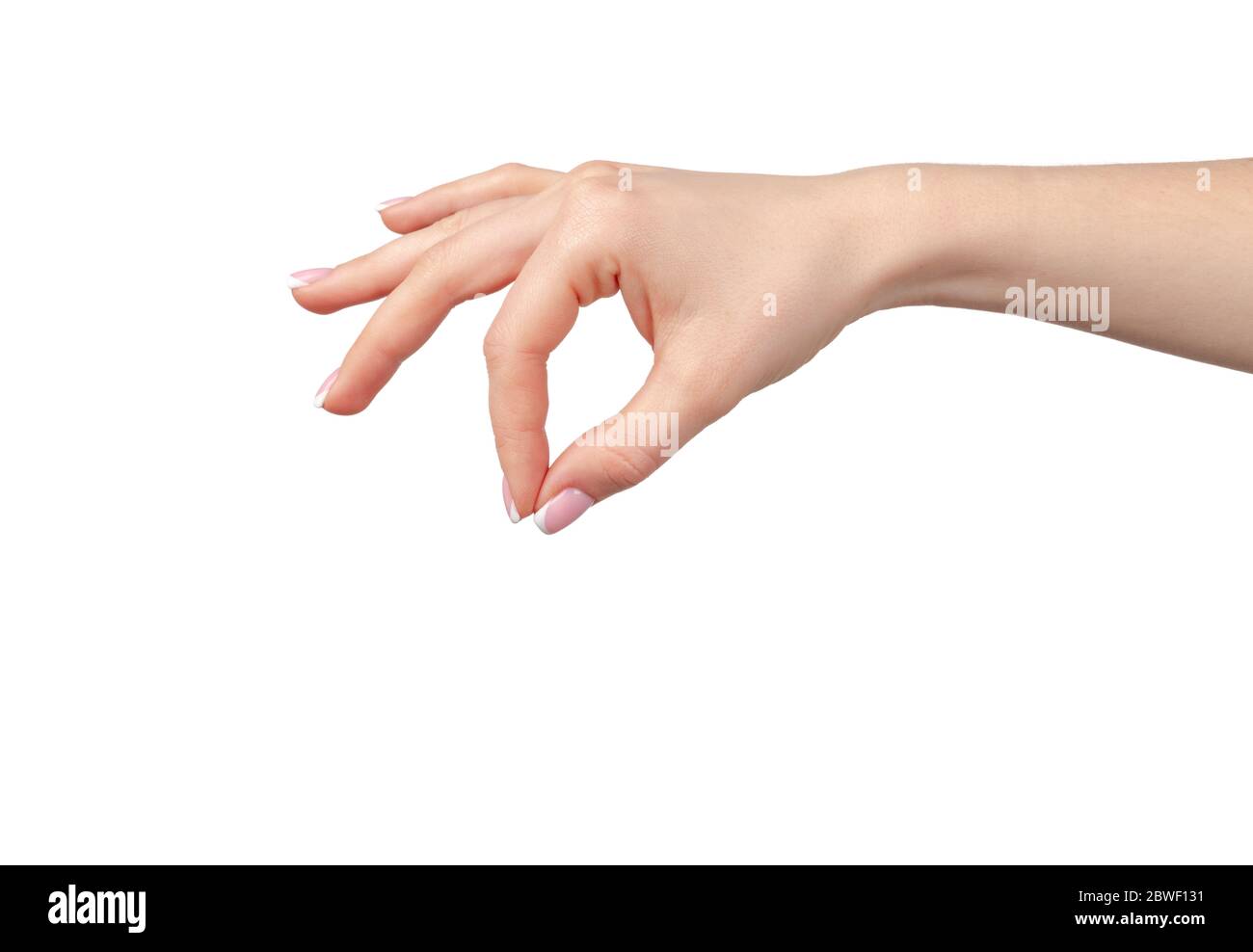Female hand holding something isolated on white background Stock Photo ...