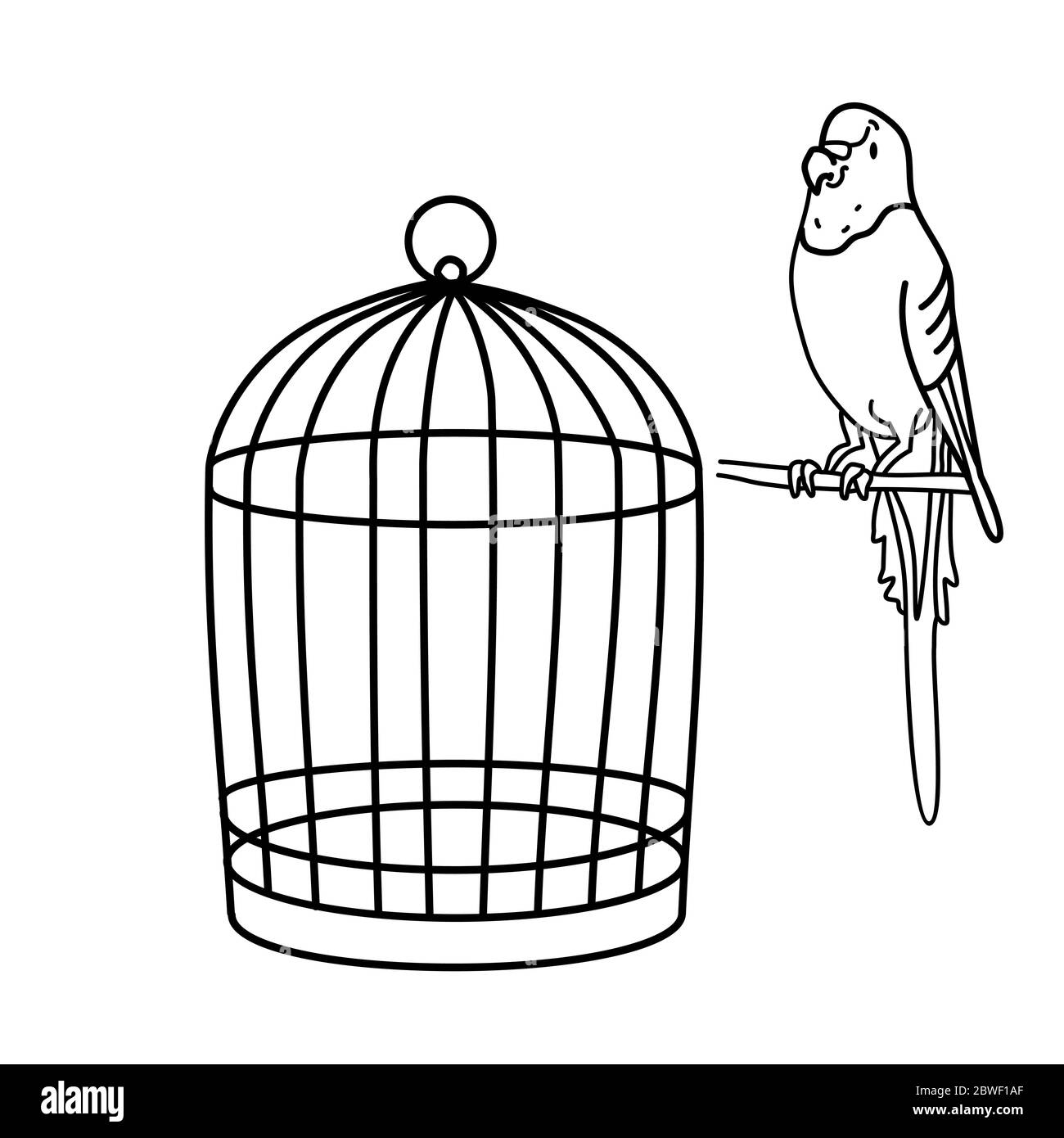 Outline drawing. A budgie is sitting near the cage. Line Stock Vector