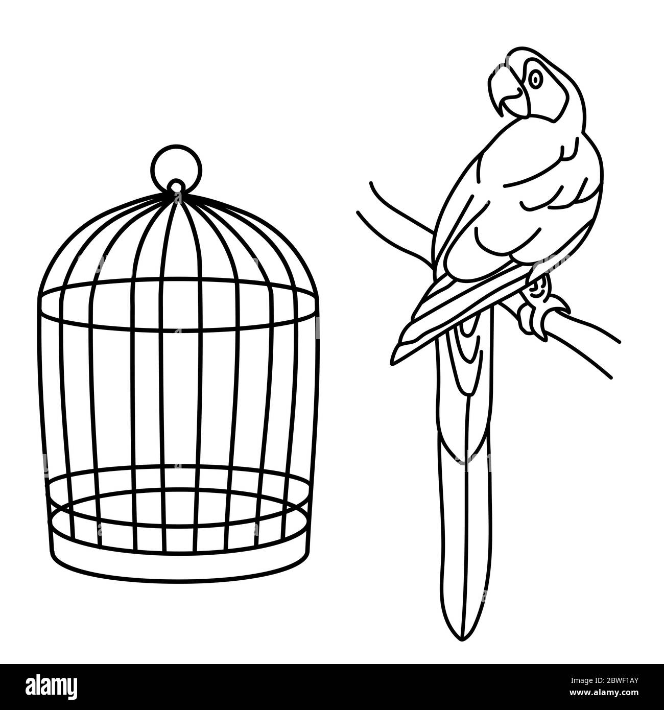 Outline drawing. Macaw parrot and cage. Line. Paint Stock Vector