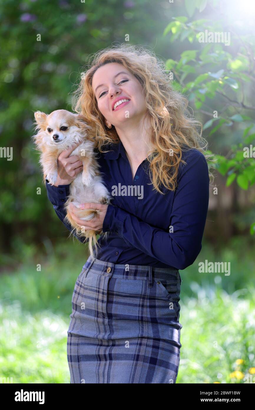 Blond young woman, business dressed, holding a long-haired chihuahua dog outdoor, on a green natural background. Stock Photo
