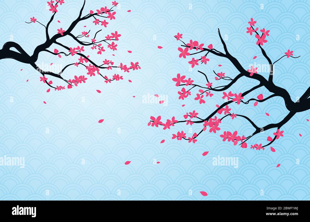Cherry blossom background with Japanese pattern style. Stock Vector