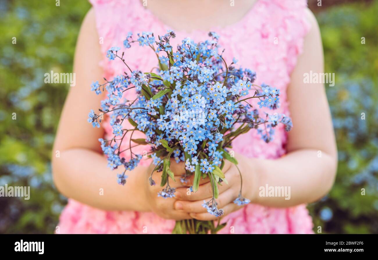 Close up view of child in pink party dress holding bouquet of Myosotis also known as forget me nots or scorpion grasses. Warm light with selective foc Stock Photo