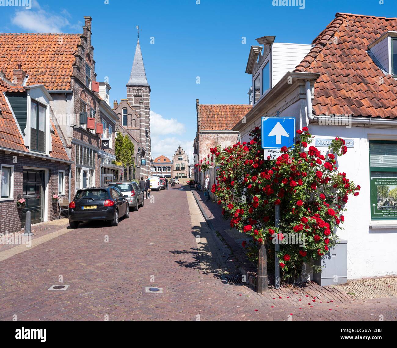 red roses in old street of edam in holland Stock Photo
