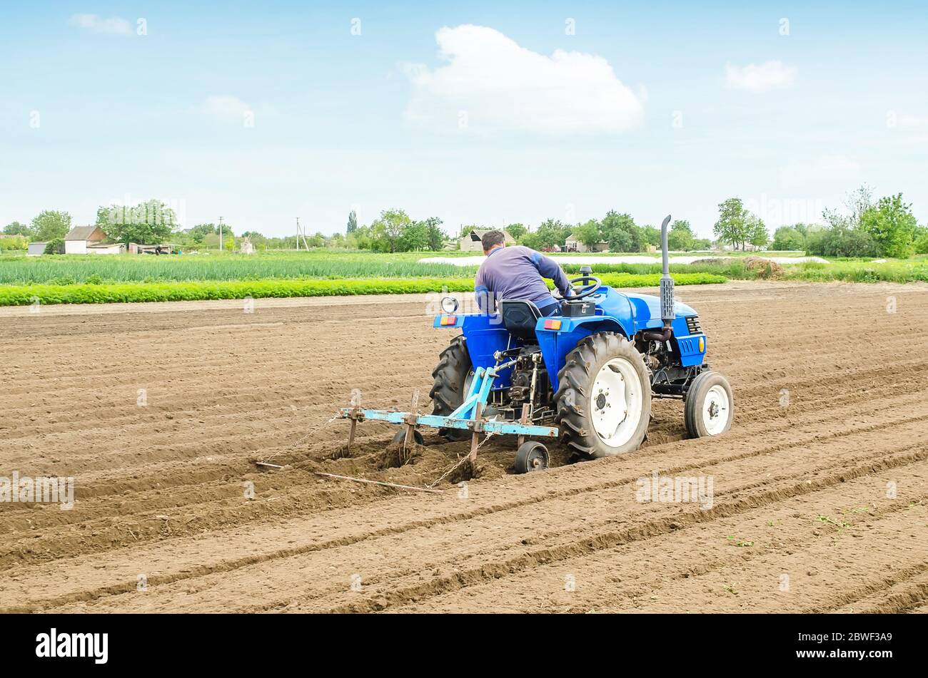 Farmer on a tractor with a cultivator processes a farm field. Soil