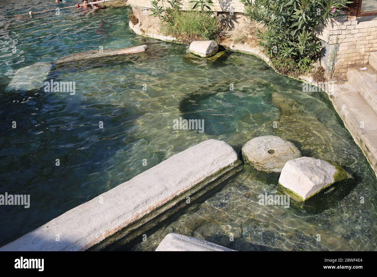 Cleopatra's pool. Pamukkale. Turkey. Stock Photo