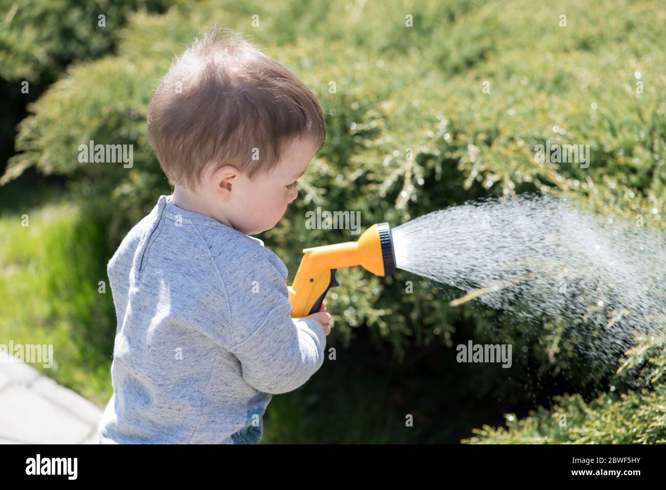 Small boy with watering can watering trees on backyard. Happy childhood concept Stock Photo