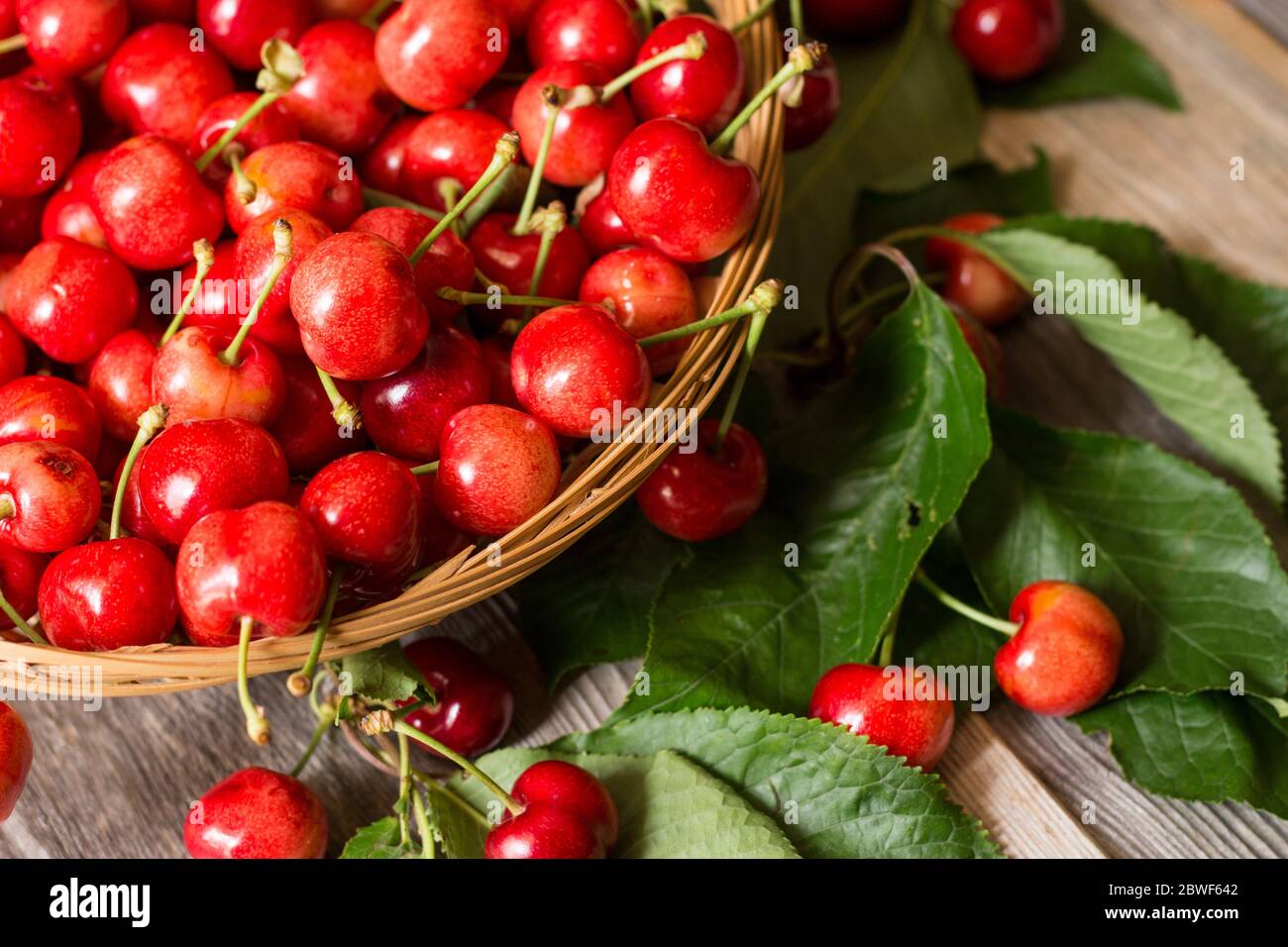 Basket of sweet and ripe cherries with leaves on wooden background Stock Photo