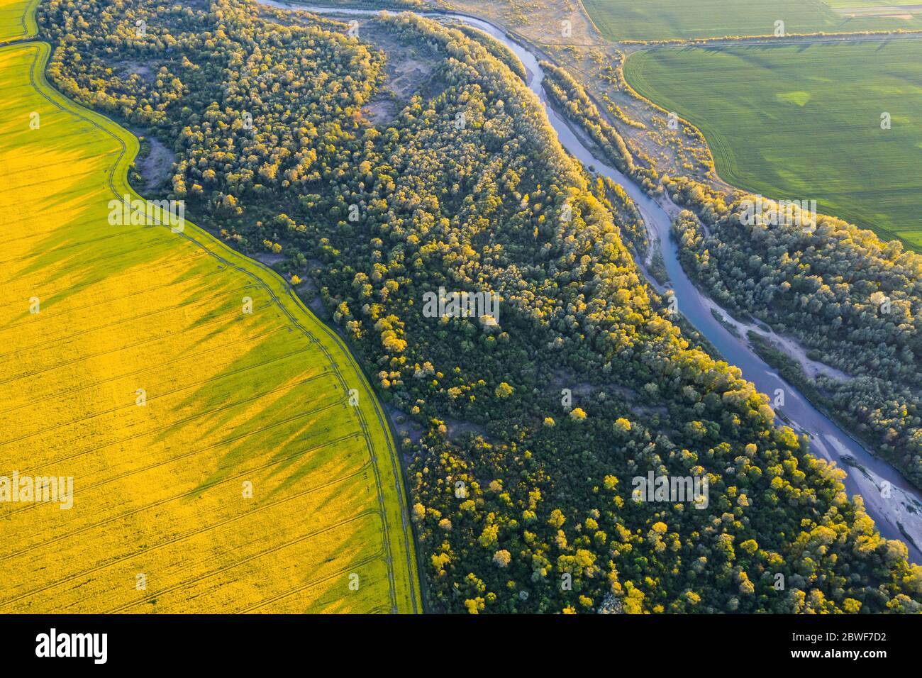 Flight through majestic river, lush green forest and blooming yellow rapeseed fields at sunset time. Landscape photography Stock Photo