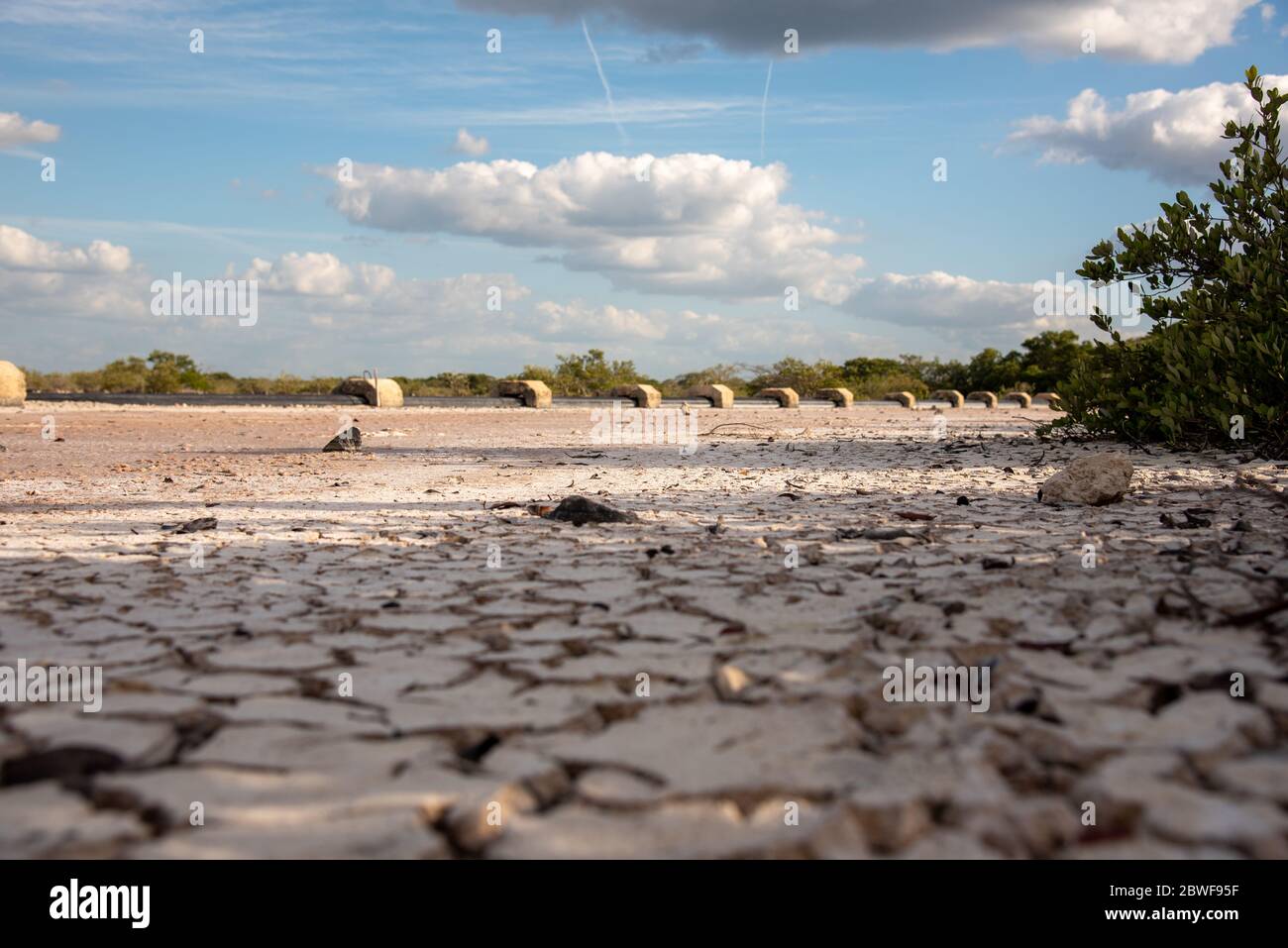 A dry mexican farming area/field Progreso, Mexico (Wallpaper Stock