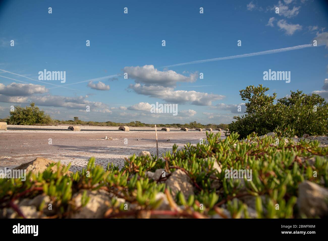 A dry mexican farming area/field Progreso, Mexico (Wallpaper Stock