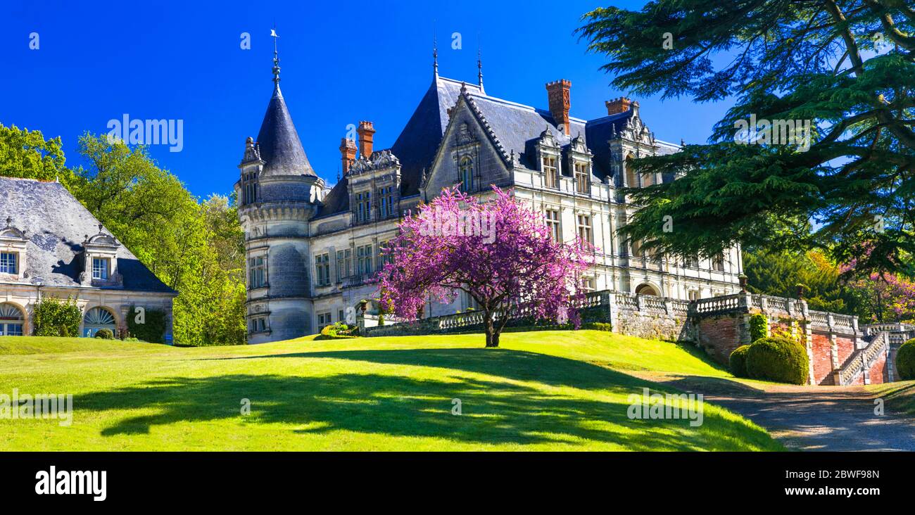 Romantic beautiful castles of Loire valley, Bourdaisiere castle, France Stock Photo