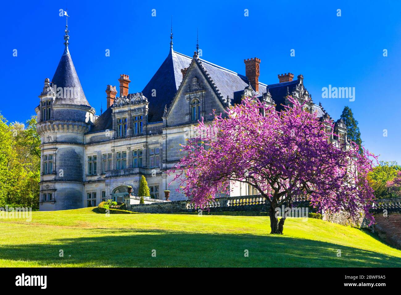 Romantic beautiful castles of Loire valley, Bourdaisiere castle, France Stock Photo