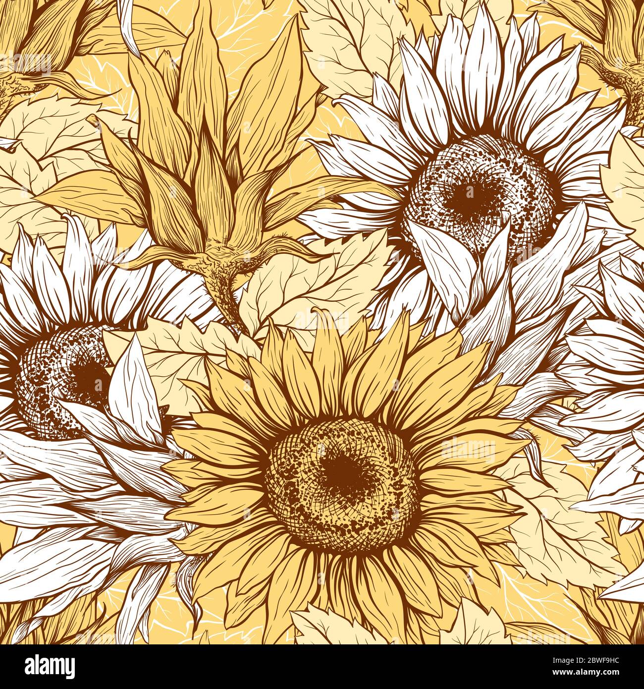 Featured image of post Realistic Sunflower Drawing Color / 891 x 900 jpeg 224 кб.