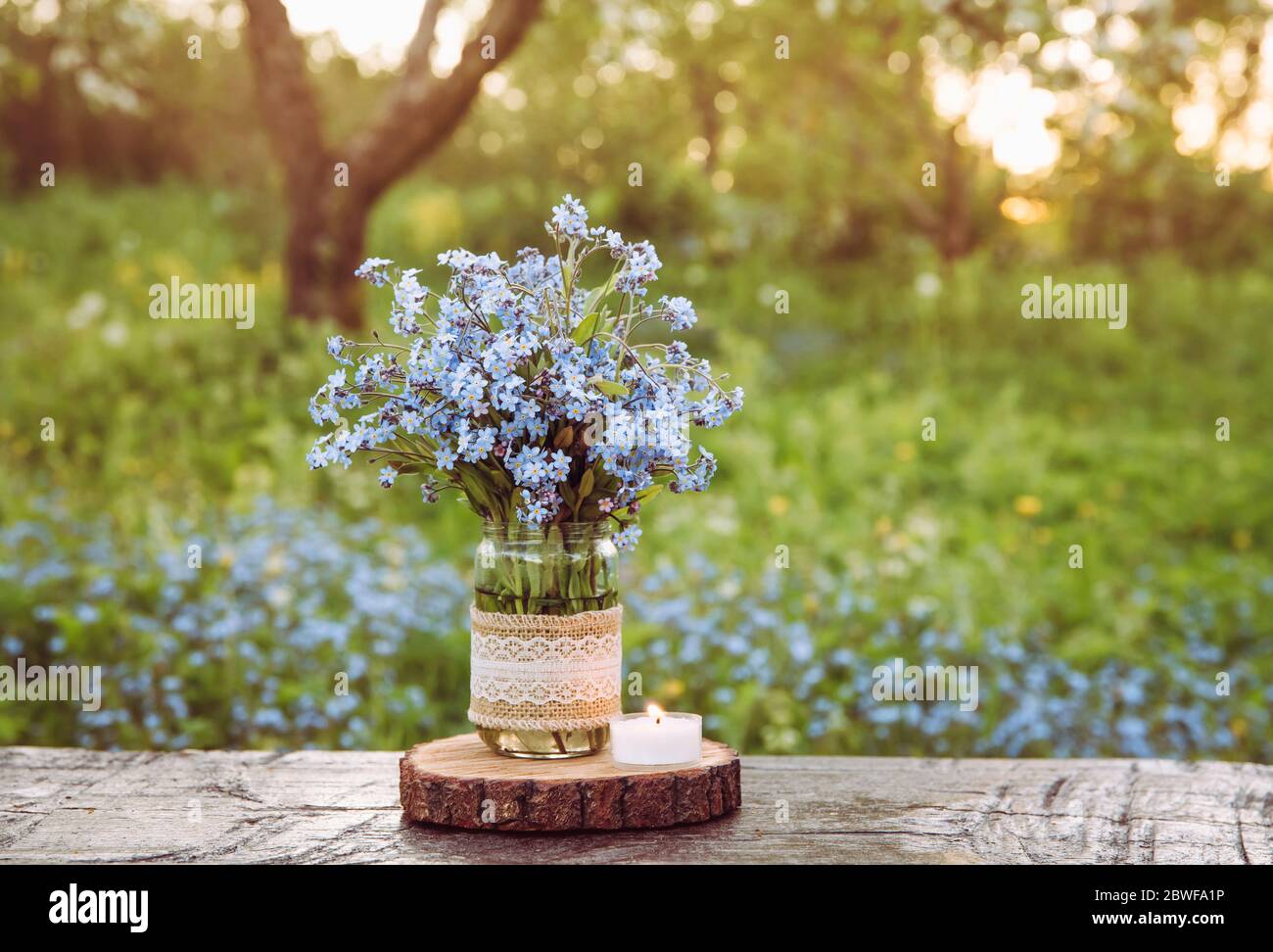 Bouquet of wild flowers Myosotis also known as Forget me not s or scorpion grasses in lace burlap cloth decorated baby food jar. Inexpensive vintage p Stock Photo