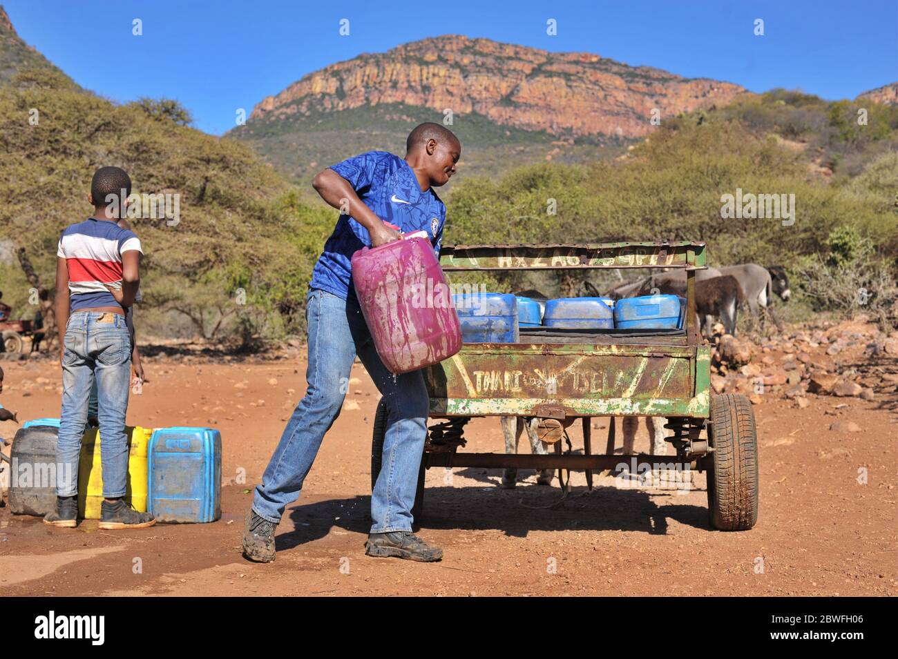 Villagers in Limpopo still collect water from communal water taps using donkey carts due to poor service delivery. Stock Photo