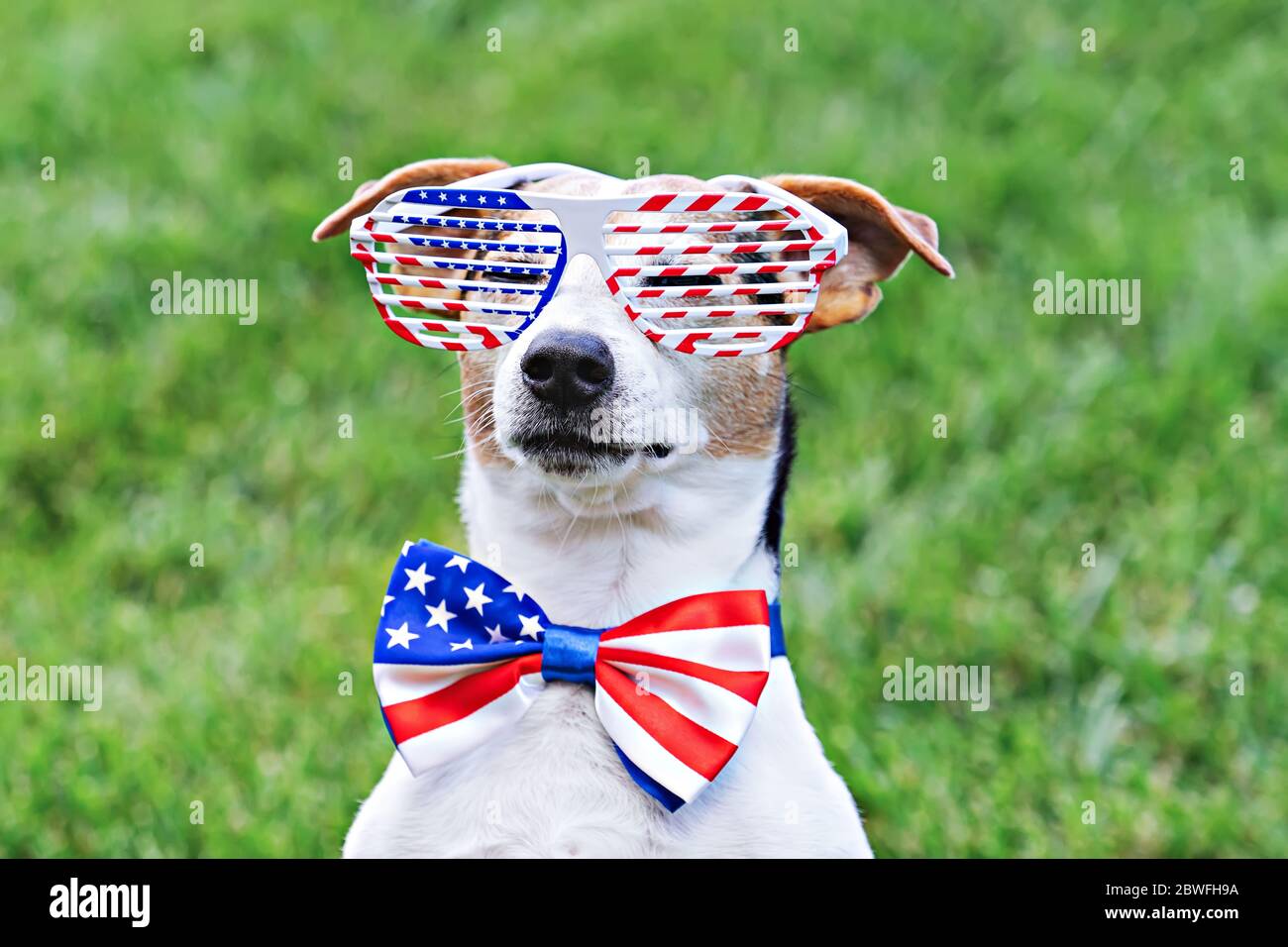american flag dog bow tie