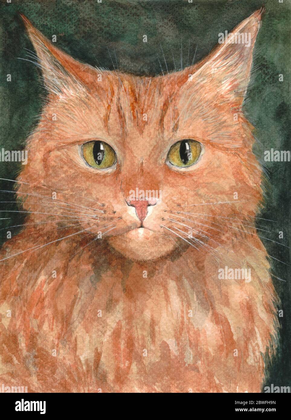 Portrait of a red cat, watercolor illustration Stock Photo - Alamy