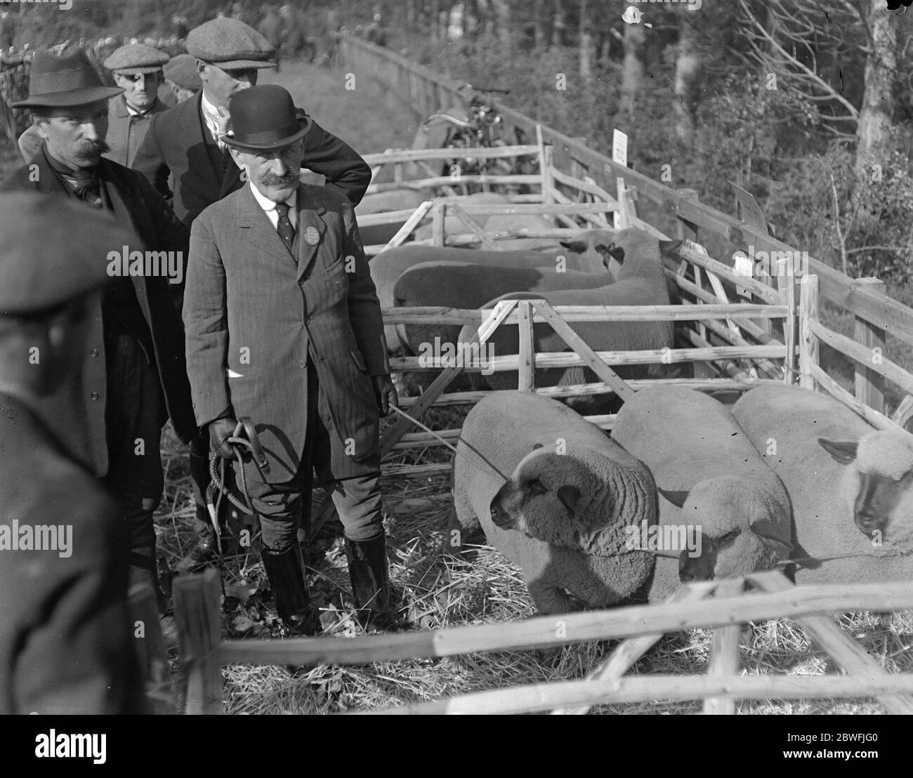 Chertsey Agricultural Show . Sir Edward Stern with his First Prize sheep . 11 October 1922 Stock Photo