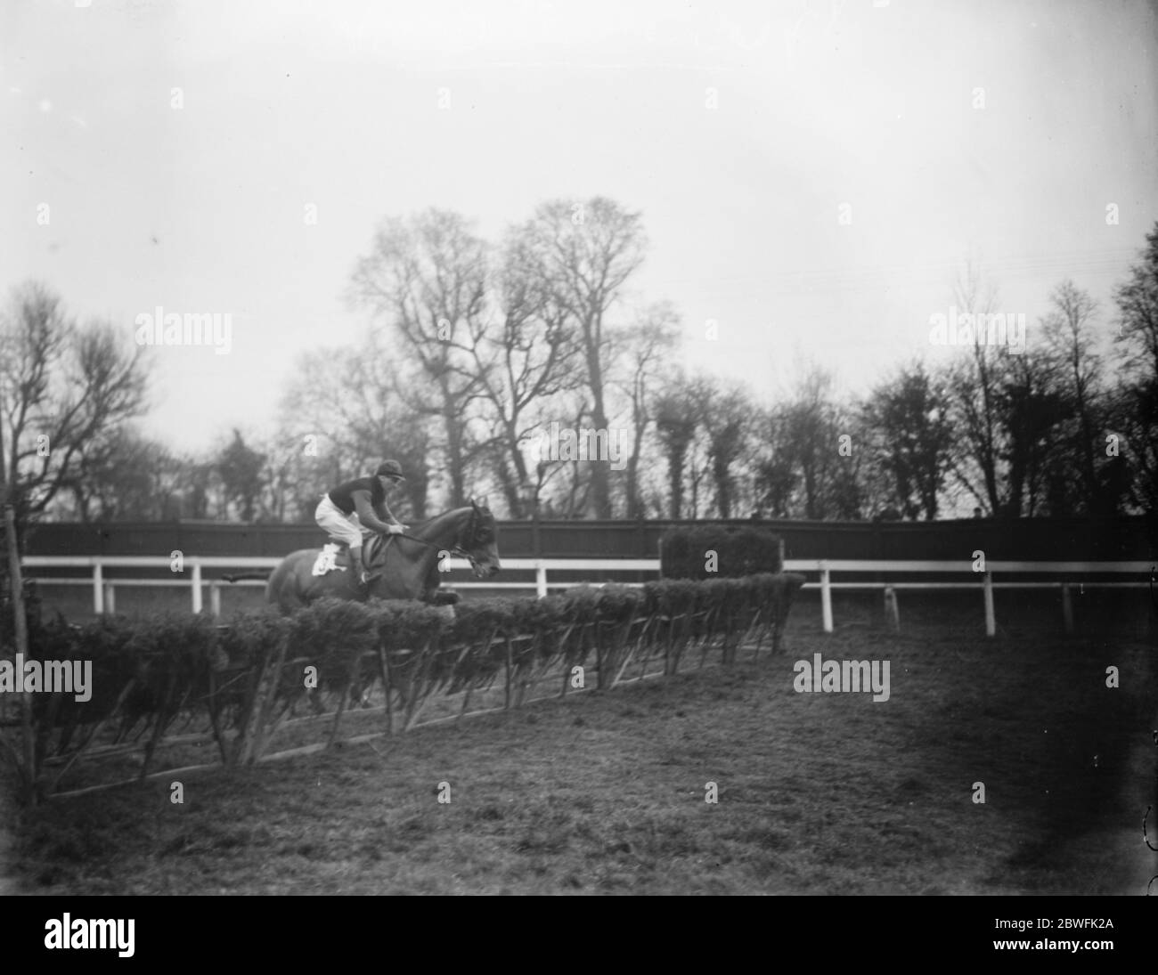 Horse rac ing hires stock photography and images Alamy