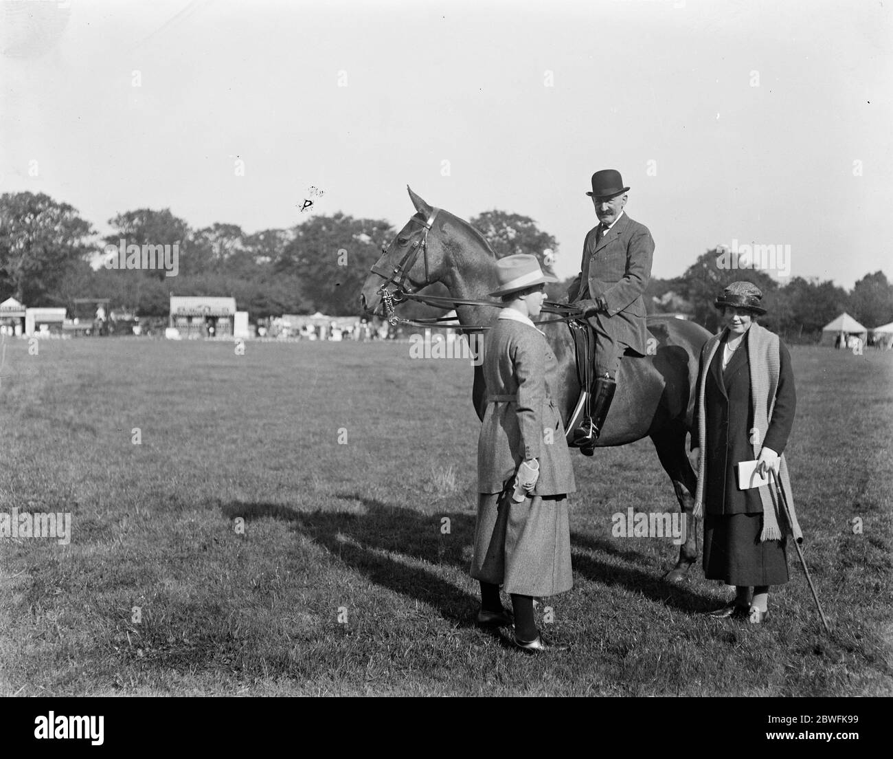 Chertsey agricultural show hi-res stock photography and images - Alamy