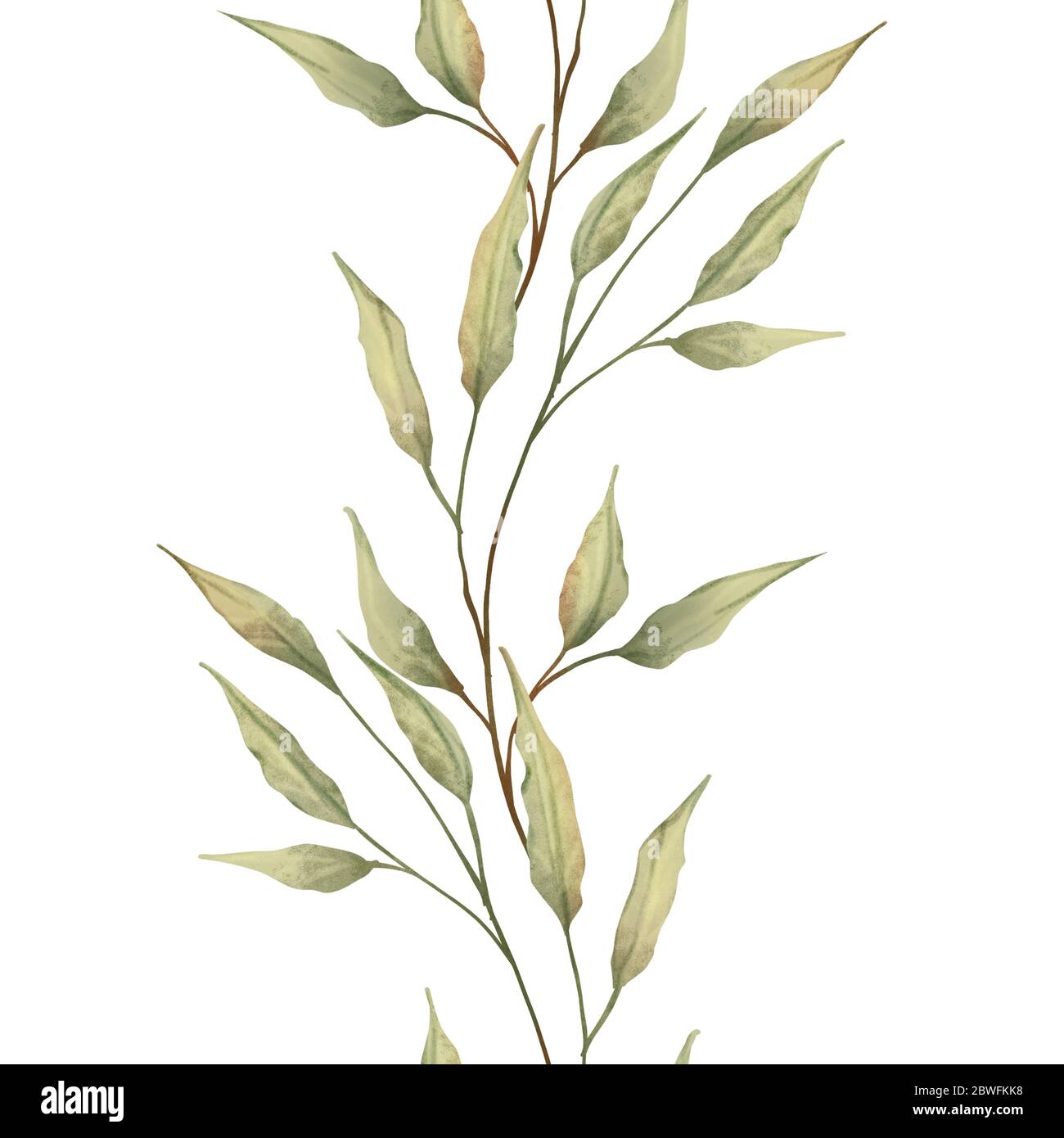 Seamless border pattern of leaves on white background Stock Photo - Alamy