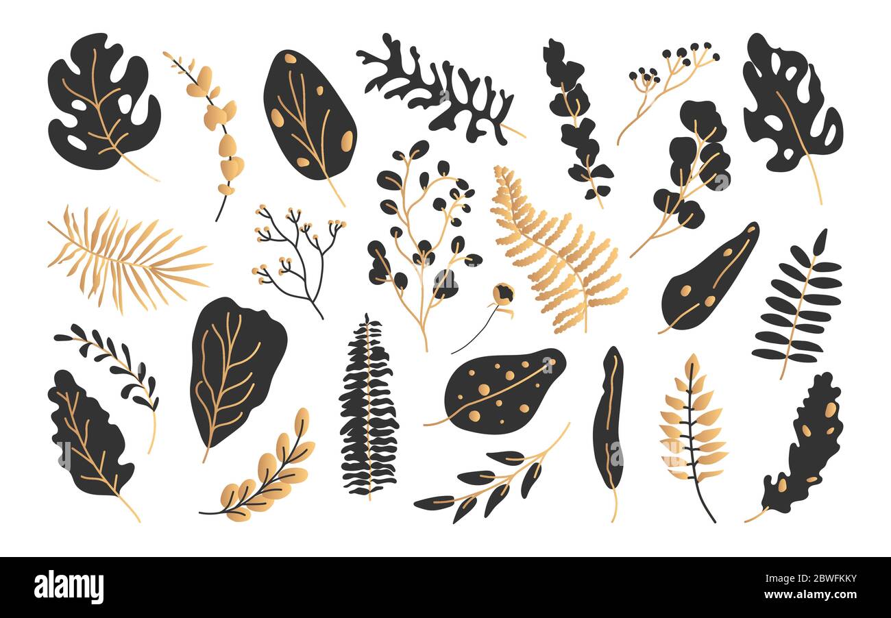 Set of exotic black gold tropical leaf. Hand drawn abstract jungle ...