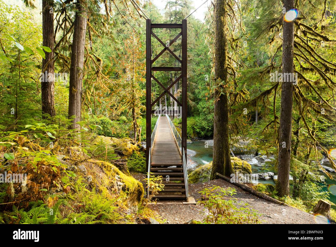 Forest bridge in Portland, Oregon, USA Stock Photo