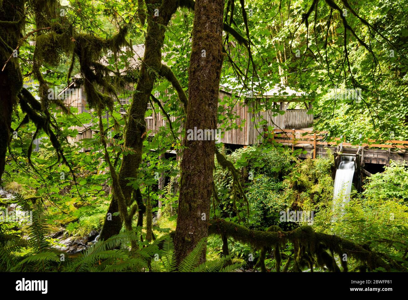 Cedar Creek Grist Mill, Woodland, Washington, USA Stock Photo