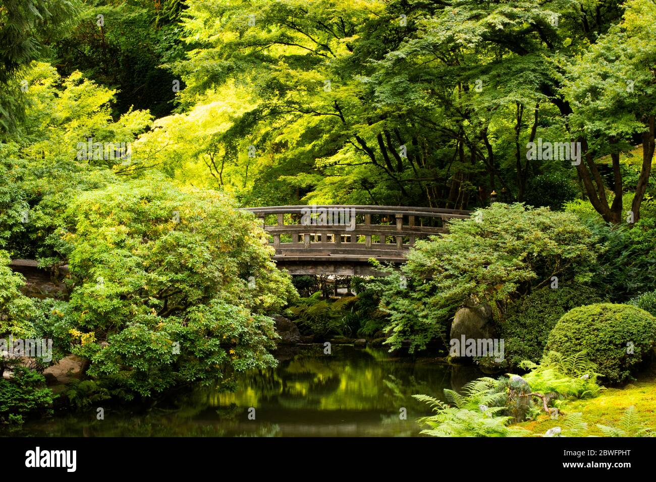 View of bridge above pond in Japanese Garden, Portland, Oregon, USA Stock Photo