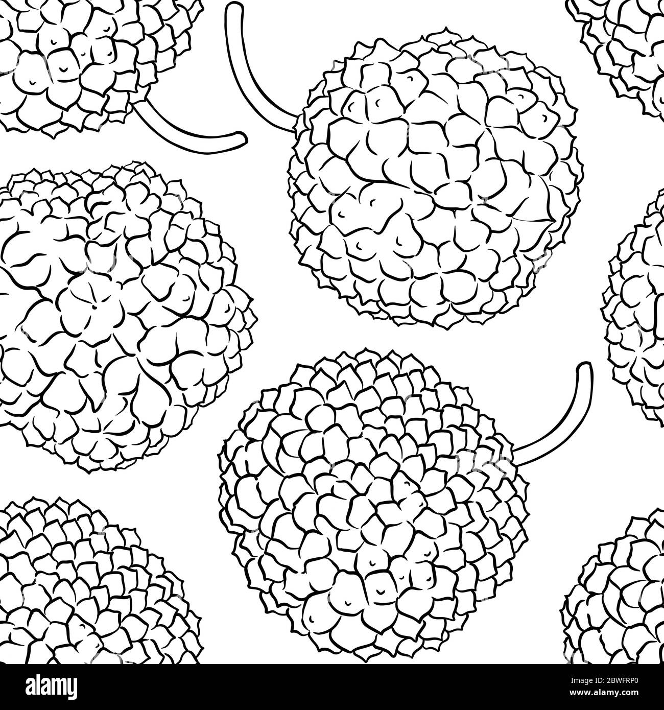 calodendrum vector pattern on white background Stock Vector